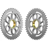 Esjot 29020 525 Achtertandwiel