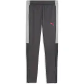 Puma Sportbroek 'Individual Liga' grijs / grafiet / donkergrijs