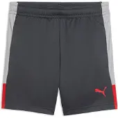 Puma Sportbroek 'Individual Liga' lichtgrijs / donkergrijs / rood