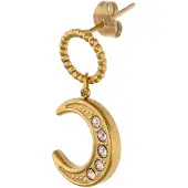 NAEMI Oorbellen goud / transparant