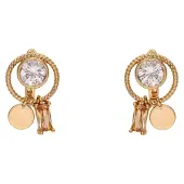 NAEMI Oorbellen rose-goud