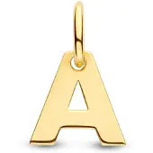 The Jewelry Collection Letter Hanger in massief 14 Karaat Goud