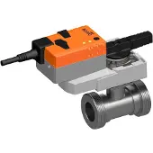 Belimo Regelklep G2 Kvs16 24VAC/DC 9s 0-10V 8Nm IP54 R431/NRQ24A-SZ