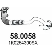ASSO 58.0058 Katalysator