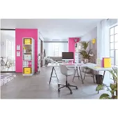 Leitz Ordner WOW 1005 80mm karton roze - 2 stuks