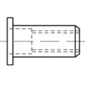 Toolcraft TO-5455320 Popmoer M8 500 stuk(s)