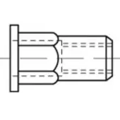 Toolcraft TO-5444319 Popmoer M4 Staal 500 stuk(s)