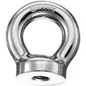 WICHARD M10 Eye Nut Zilver 10 x 150 mm