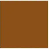 Rembrandt Olieverf 150 ml Sienna Gebrand 411