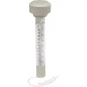 Bestway 58072 Pool Thermometer 5 Cm Transparant