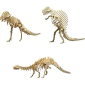 Pebaro Houten bouwpakket 3 dinos, 39 x 11 cm.