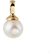 The Jewelry Collection Geelgouden Hanger parel 4020021