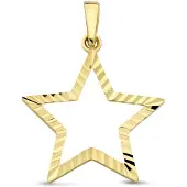 New Bling - 9NBG-0919 - 14K geelgouden Hanger – Ster Dia Cut – Dames Hanger