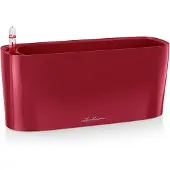 Lechuza DELTA PREMIUM 10 - Plantenbak - met uitneembare binnenbak - met bewateringssysteem - ALL-IN-ONE set met LECHUZA-PON - scharlakenrood hoogglans