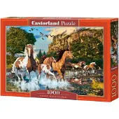 Castorland C-104789-2, 1000 stuks, Dieren, Geschikt voor kinderen vanaf 9 jaar