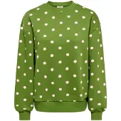JDY Sweatshirt 'JDYTENA' groen / wit