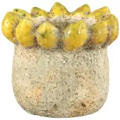 Ptmd pot fruitsy - 21x21x18cm