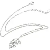NAEMI Ketting zilver