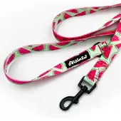 Psiakrew Watermelon Hondenlijn 160 cm - Stadslijn