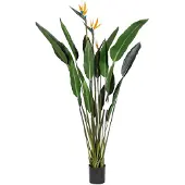 Buitengewoon Boet Kunstplant Strelitzia met Bloem - 150 cm