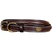Dyon Fancy Hondenhalsband