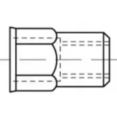 Toolcraft TO-5380608 Popmoer M10 RVS 200 stuk(s)