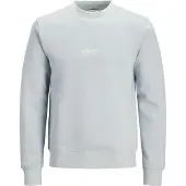 Jack & Jones Sweatshirt 'JJESoho' lichtblauw / wit