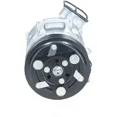 BV PSH 090.135.061.905 Aircopomp