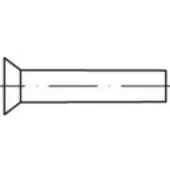 Toolcraft TO-5449089 Verzonken klinknagel 4 mm 500 stuk(s)