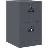 vidaXL Bestandkast Antraciet 44 x 50 x 74,5 cm Koudgewalst Staal
