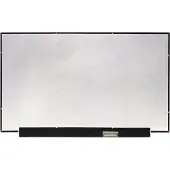 HP LCD scherm geschikt voor Omen 16-b1001nd (QHD 165Hz)
