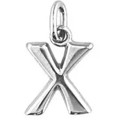 The Jewelry Collection Zilver Gerhodineerde Hanger letter X 1333909
