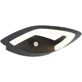 Paulmann Akena 94838 LED-buitenlamp (wand) LED LED vast ingebouwd 11 W Antraciet