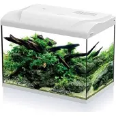 HS Aqua Aquarium Platy 50 LED | 50L | 49 X 31 X 38CM Wit Compleet