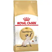 Royal Canin Siamese