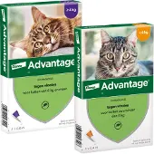 Advantage Kat 40 4 pip - Anti vlooien en tekenmiddel