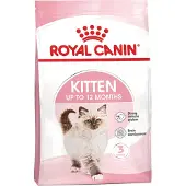 Royal Canin Kitten - Kattenvoer