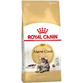Royal Canin maine coon adult kattenvoer - 10 kg
