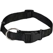 Beeztees Halsband Hond met Kliksluiting