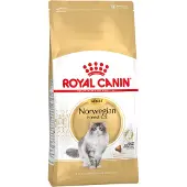 Royal Canin Fbn Norwegian Forest Cat Adult - Kattenvoer - 10 kg