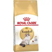Royal Canin Fbn Ragdoll Adult - Kattenvoer - 10 kg