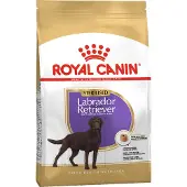 Royal Canin Labrador Retriever Adult Sterilised