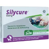 Fendigo Silycure