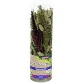 Esve Pet Bouquet Koker Equator