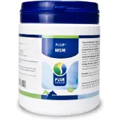 Puur Msm paard / pony