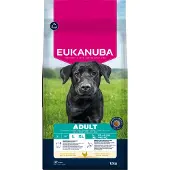 Eukanuba Active Adult Large Breed - Hondenvoer - Kip 15 kg