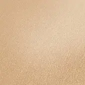 A.S. Création Dream Flowery beige behang | 383723