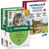 Elanco Deutschland GmbH Preventiepakket Binnenkat 2 - 4 kg