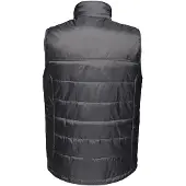 Regatta Heren Fase II Geïsoleerde Bodywarmer (Afdichting Grijs)