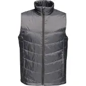 Regatta Heren Stadium Geïsoleerde Bodywarmer (Afdichting Grijs)